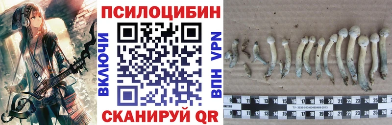 Псилоцибиновые грибы ЛСД  Купить закладки  Вышний Волочёк 