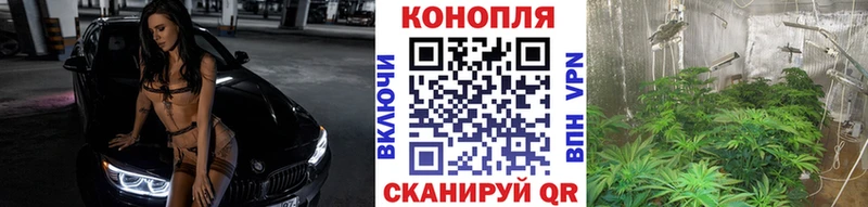 МАРИХУАНА конопля  Купить  Вышний Волочёк 